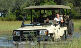 Botswana Safaris